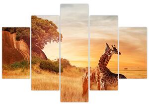 Tablou Girafe în Africa (150x105 cm)