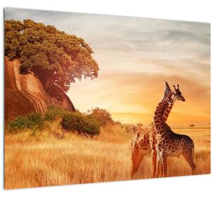 Tablou pe sticlă Girafe în Africa (70x50 cm)