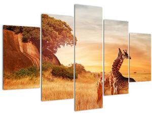 Tablou Girafe în Africa (150x105 cm)