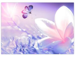 Tablou - Fluture lângă floare (70x50 cm)