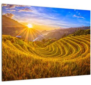 Tablou pe sticlă - Terasele de orez din Vietnam (70x50 cm)