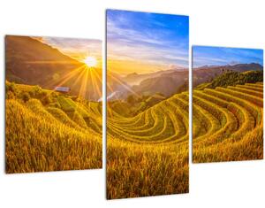 Tablou - Terasele de orez din Vietnam (90x60 cm)