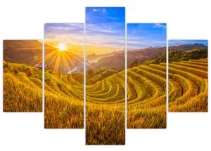 Tablou - Terasele de orez din Vietnam (150x105 cm)