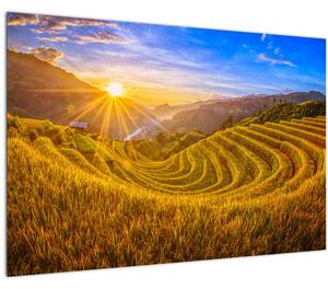 Tablou - Terasele de orez din Vietnam (90x60 cm)