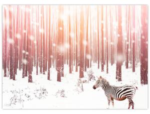 Tablou - Zebra în pădurea înzăpezită (70x50 cm)