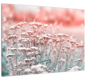 Tablou pe sticlă - Flori de câmp (70x50 cm)