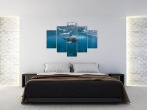 Tablou - Delfin sub apă (150x105 cm)