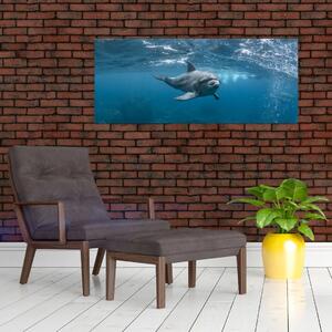 Tablou - Delfin sub apă (120x50 cm)