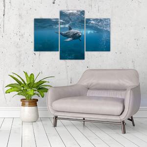 Tablou - Delfin sub apă (90x60 cm)
