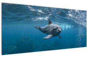 Tablou - Delfin sub apă (120x50 cm)