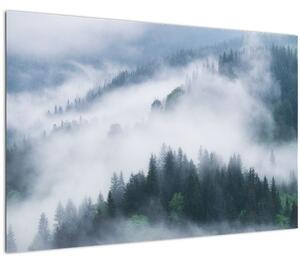 Tablou - Copacii în ceață (90x60 cm)