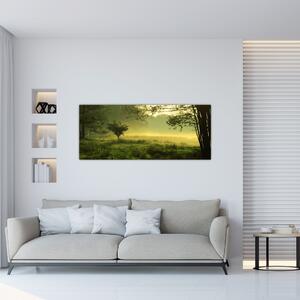 Tablou - Pădurea trezită (120x50 cm)