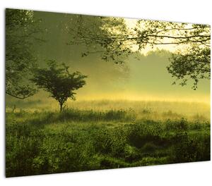 Tablou - Pădurea trezită (90x60 cm)
