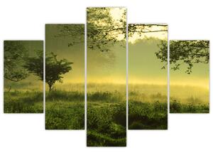 Tablou - Pădurea trezită (150x105 cm)