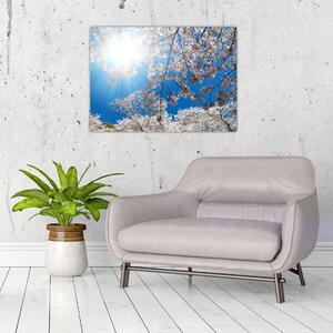 Tablou - Flori de cireș (70x50 cm)