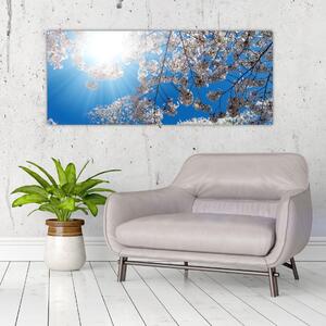 Tablou - Flori de cireș (120x50 cm)