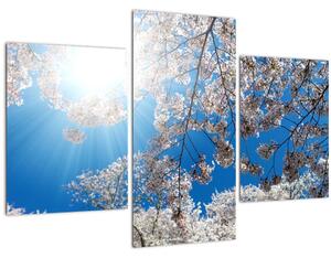 Tablou - Flori de cireș (90x60 cm)
