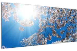 Tablou - Flori de cireș (120x50 cm)