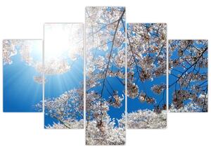 Tablou - Flori de cireș (150x105 cm)