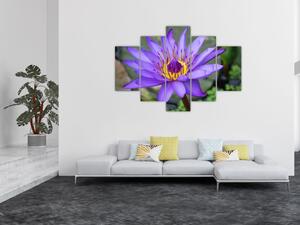 Tablou - Floare violet (150x105 cm)