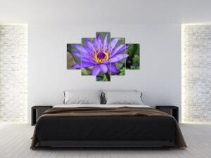 Tablou - Floare violet (150x105 cm)