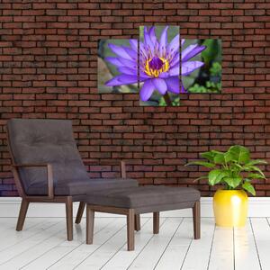 Tablou - Floare violet (90x60 cm)
