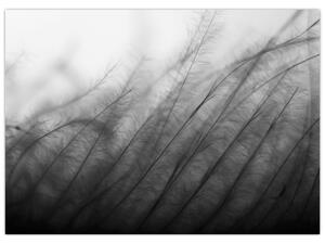 Tablou - Iarba în vânt (70x50 cm)