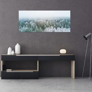 Tablou - Crestele munțillor înzăpezite (120x50 cm)