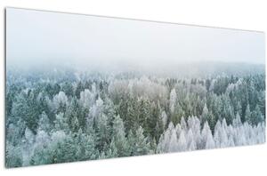 Tablou - Crestele munțillor înzăpezite (120x50 cm)