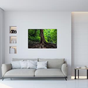 Tablou - Copac bătrîn cu rădăcini (90x60 cm)