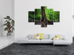 Tablou - Copac bătrîn cu rădăcini (150x105 cm)