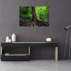 Tablou - Copac bătrîn cu rădăcini (90x60 cm)
