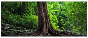 Tablou - Copac bătrîn cu rădăcini (120x50 cm)