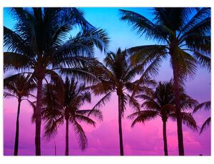 Tablou - Palmieri din Miami (70x50 cm)