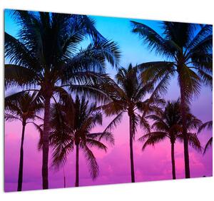 Tablou pe sticlă - Palmieri din Miami (70x50 cm)