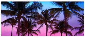Tablou - Palmieri din Miami (120x50 cm)