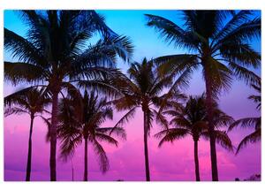 Tablou - Palmieri din Miami (90x60 cm)