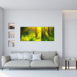 Tablou - Trezirea de primăvară a pădurii (120x50 cm)