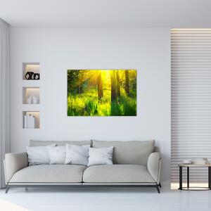 Tablou - Trezirea de primăvară a pădurii (90x60 cm)