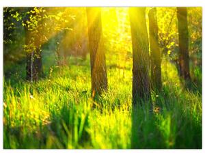 Tablou - Trezirea de primăvară a pădurii (70x50 cm)