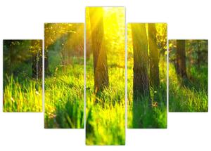 Tablou - Trezirea de primăvară a pădurii (150x105 cm)