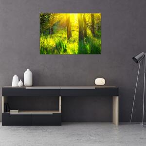 Tablou - Trezirea de primăvară a pădurii (90x60 cm)
