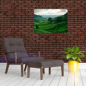 Tablou pe sticlă Plantații de ceai - Malaezia (70x50 cm)