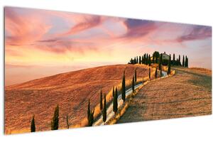 Tablou - Casa pe deal Toscana, Italia (120x50 cm)