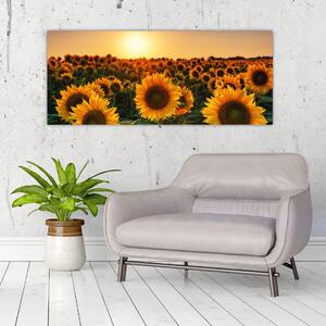 Tablou - Floarea soarelui (120x50 cm)