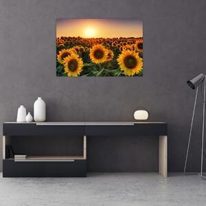 Tablou - Floarea soarelui (90x60 cm)