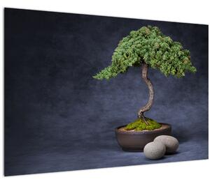 Tablou - Bonsai (90x60 cm)