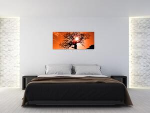 Tablou - Fag la apus de soare (120x50 cm)