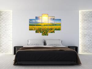 Tablou - Câmp cu floarea soarelui (150x105 cm)
