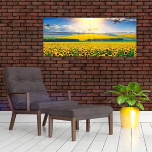 Tablou - Câmp cu floarea soarelui (120x50 cm)